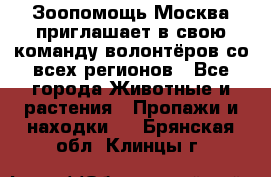 Зоопомощь.Москва приглашает в свою команду волонтёров со всех регионов - Все города Животные и растения » Пропажи и находки   . Брянская обл.,Клинцы г.